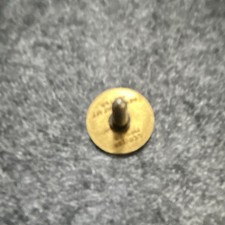 Kiwanis International Gold Tone Lapel Pinback Button with K Emblem picture