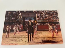 Toros en Mexico DF Mexico City Postcard picture