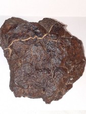 NWA Stony Meteorite 133 Gr. End Slice  Unclassified From Private Collection picture