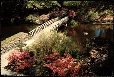 Mobile AL Bellingham Gardens Rustic Bridge Across Mirror Lake Continental PC picture