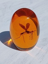 Jurassic Park Mosquito in Amber Replica Resin Paperweight. Replica Fossil  picture