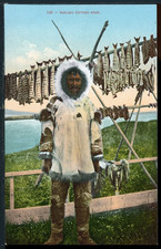1900's An Eskimo Drying Fish Alaska Vintage Mitchell 548 Postcard A991 picture