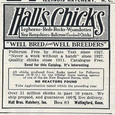 Magazine Ad - 1941 - Hall Brothers Hatchery - Chicks - Wallingford, CT- WW2 picture