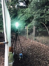 professional Moth collecting light , ballast ,+ sheet Only 1 on Ebay 250  watt picture