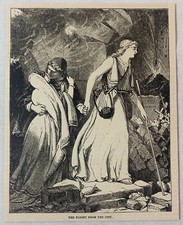 1889 magazine engraving ~ FLIGHT FROM POMPEII during the tragedy picture