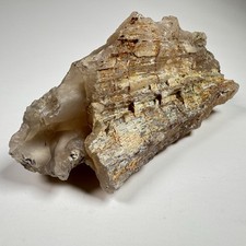Paulina Agate Limb Cast Cripple Creek Oregon Display Specimen 10 oz picture