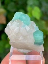 16 Gm Natural Paraiba/Seafoam Color Tourmaline Crystal On Quartz @ Afghanistan picture