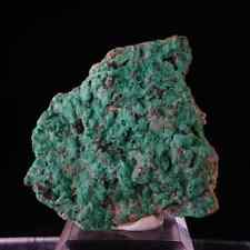 Malachite / 5.2cm Mineral Specimen / From Bozshakol Mine, Kazakhstan picture
