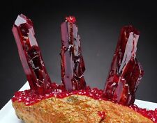 Pruskite ruby red crystals on matrix from Poland specimen shiny lustrous picture
