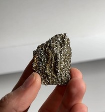 Rare Pyritized Petrified Wood – “A Tree, but Make It Gold” picture