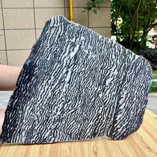 12.4 lb Natural Polished Zebra Stone Slice Black White Banded Crystal Specimen picture