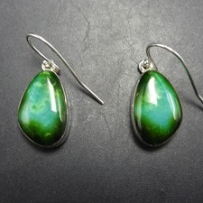 Sweet NAVAJO Sonoran Gold TURQUOISE Sterling Silver EARRINGS Drop Pierced picture
