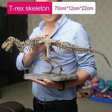 Animal Model T Rex Tyrannosaurus Rex Skeleton Dinosaur Toy Collector Decor Gift picture