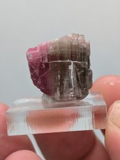 Watermelon Tourmaline Crystal, 8.8 grams, Tourmaline King Mine, Pala, CA picture
