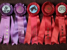 East Coast 1982 Venues Horse Show Ribbons Awards Equestrian Events Hunter Jumper picture