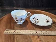 Grosvenor Aster, Cat Tail, Wheat Bone China teacup and saucer set picture
