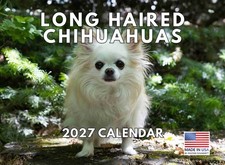 Long Haired Chihuahua Calendar 2027 Monthly Wall Calender 12 Month picture