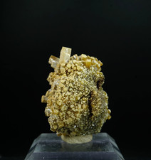 Pyromorphite / Bunker Hill Mine, Idaho / Rare Mineral Specimen picture