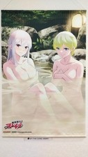 [Tapestry Wall scroll] Kyouka Uzen Tenka Izumo Chained Soldier B2 size Limited picture
