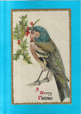 Holiday Postcard-A Merry Christmas-1910-Blue-Bird Eating Berries picture