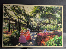 1988 Cypress Gardens FL Postcard Banyan Tree Southern Belles Vintage Unused picture