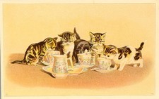 Antique Helena Maguire Cat Postcard Washburn Crosby Co Flour Ad Minneapolis MN picture
