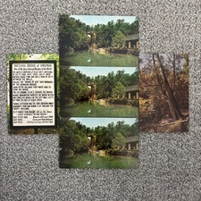 Vintage Natural Bridge Virginia Postcards Lot of 5 Lusterchrome picture
