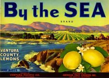 Montalvo Ventura County By the Sea Lemons Citrus Fruit Crate Label Print picture