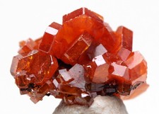 VANADINITE Crystal Mineral Specimen Cluster Micromount Natural Red MOROCCO picture