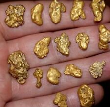 Rich Gold Nugget Pay Dirt Approximately 1 lbs OF UNSEARCHED PAYDIRT BUY 2/1 FREE picture