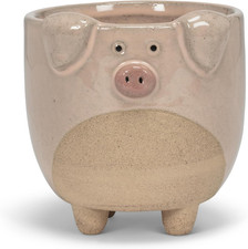 Large Pig on Legs Planter picture