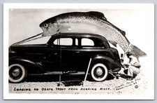 Exaggeration RPPC of a Giant Ozark Trout Being Loaded onto a 1930s Automobile picture