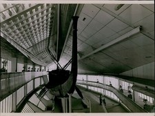 LG754 1978 Original Photo PHARAOH CHEOPS FUNERAL BARGE Oldest Surviving Boat picture