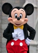 MICKEY MOUSE DISNEYLAND CHARACTER COSTUME GLOVE UNIFORM CAST MEMBER  picture