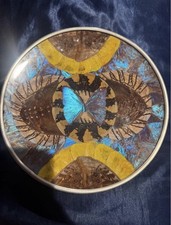 Vintage Brazilian Blue Morpho Butterfly & Moth Wing Art Plate – 9.5” picture