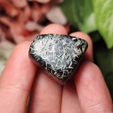 Chrysanthemum Stone picture