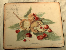 Rectangular Serving Tray Castanea Sativa Chestnut Botanical Print Felt Back picture