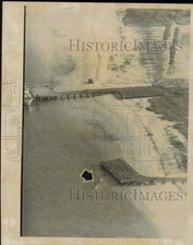1974 Press Photo Aerial view of a huge dead sperm whale near Anna Maria Island picture
