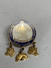 Sovereign Oneida Nation Of Wisconsin Tribe Pin & Charms Native American Souvenir picture