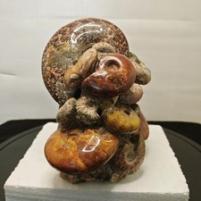 9.46LB Natural large beautiful ammonite fossil, conch crystal specimen healing picture