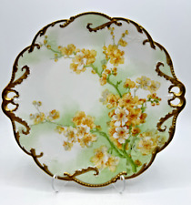 Antique Limoges France Coronet Porcelain Plate. Beautiful picture
