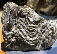 Pinto Gneiss Boulder 19.1lb Metamorphic Landscape Rock Wave Pattern Joshua Tree picture