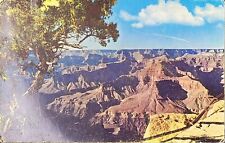 Grand Canyon National Park c1950s Postcard Vintage Posted Cancelled North Rim AZ picture