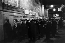 Sport Greyhound Racing Wembley Stadium pic 1960s Punters betting T- Old Photo picture
