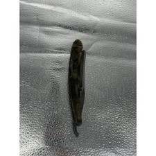 Antique Wade & Butcher Sheffield Straight Razor Celebrated Hollow Ground Horn picture