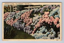 Cape May NJ-New Jersey, Cape May's Flower The Hydrangea, Vintage c1941 Postcard picture