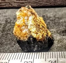 Gold Ore Specimen 7.5g Thumbnail With Chunks Of Crystalline Gold 2526 picture