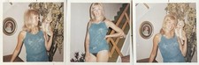 3 Vintage Photos Sexy Blonde Woman No Pants Tattoo Stuffed Animal 1960s picture