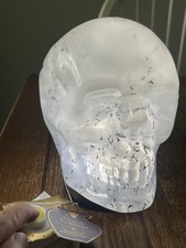 Eerie Charm Light Up Acrylic Waterglobe Halloween Lamp Skull Bats TikTok Viral picture