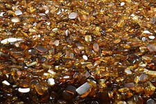 CHOOSE YOUR INSECT - Genuine Burmese Amber Fossil - Price per piece picture